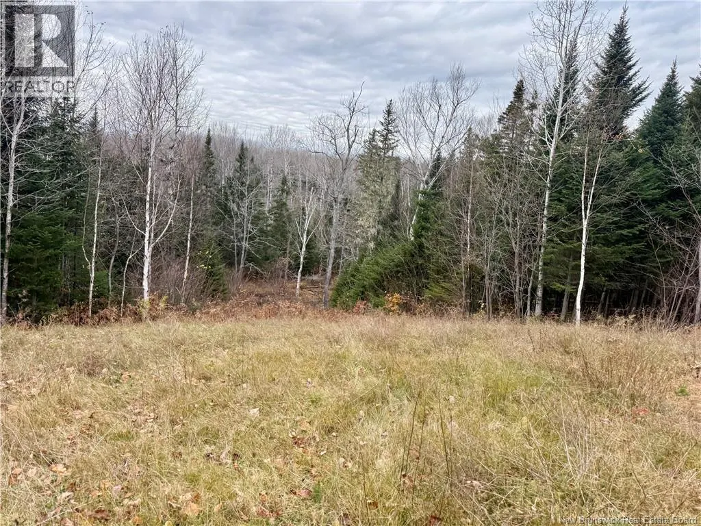 101 Acres Route 355