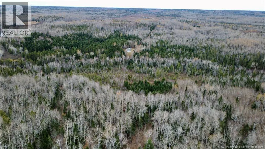 101 Acres Route 355