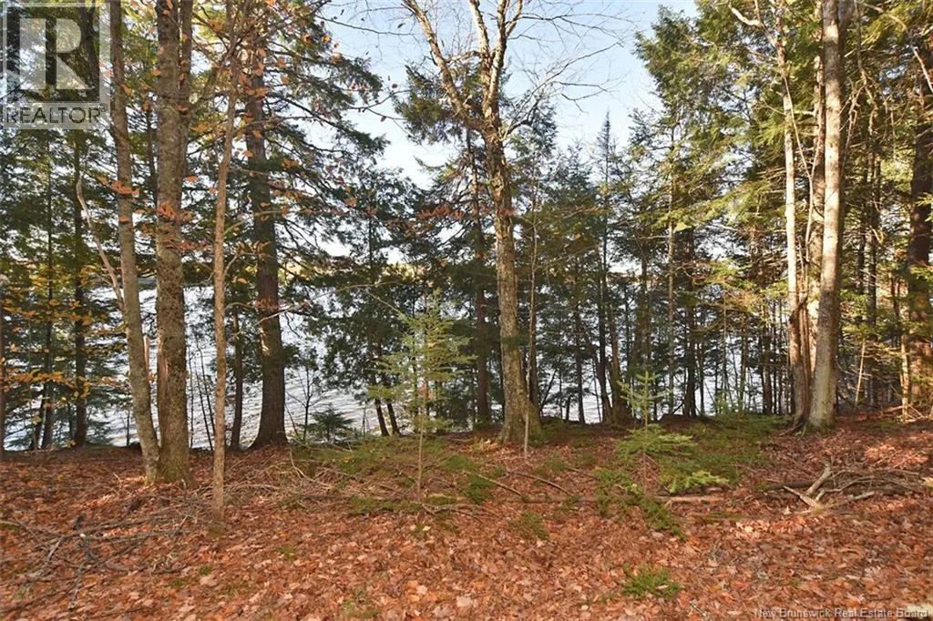 124 Headpond Lane