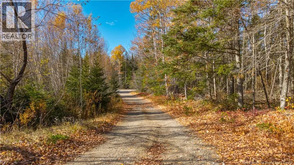 364 Board Road