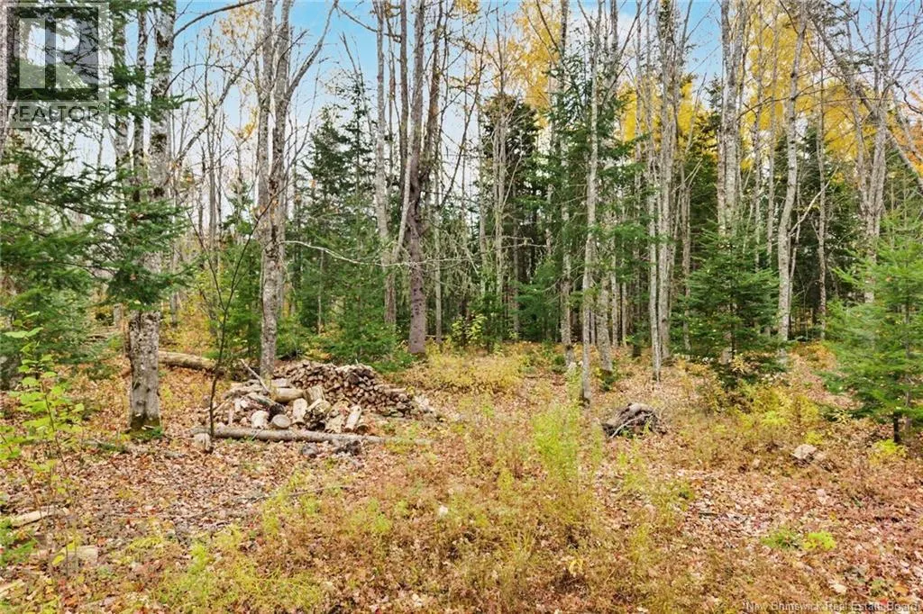 578 Bronson Settlement Road
