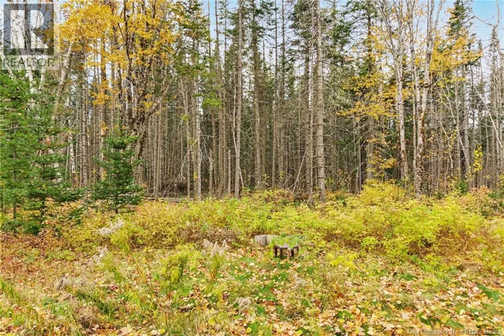 578 Bronson Settlement Road