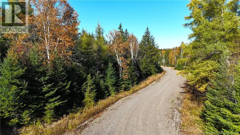 Lot 2020-1 Osprey Lane