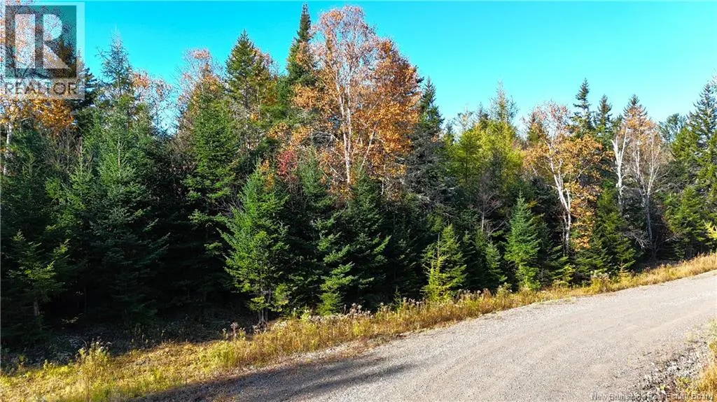 Lot 2020-1 Osprey Lane