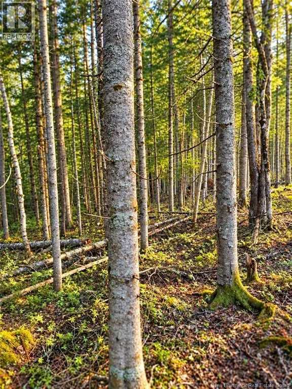Lot 26-03 Bateman Mill Road
