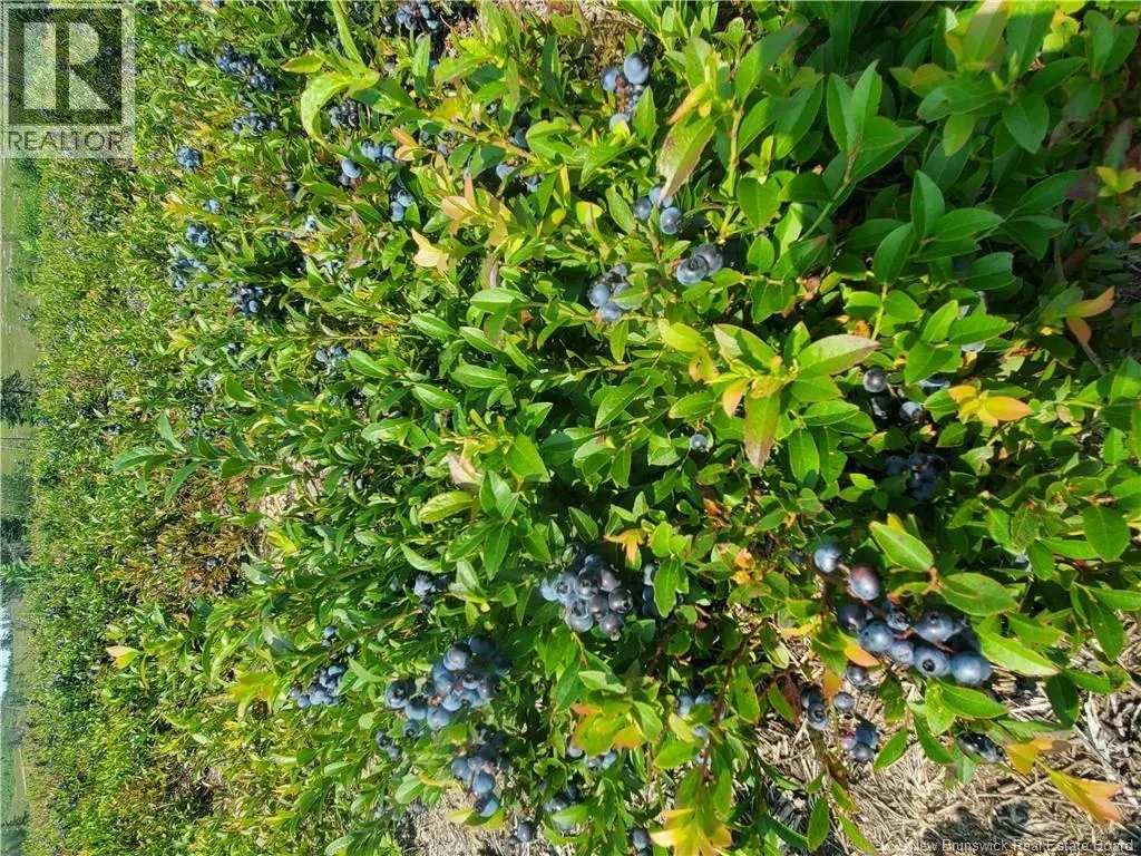 Lot 827 S Cains Road