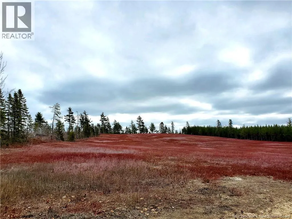 Lot 827 S Cains Road
