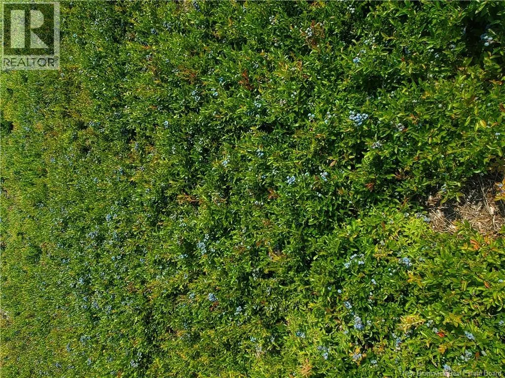 Lot 827 S Cains Road