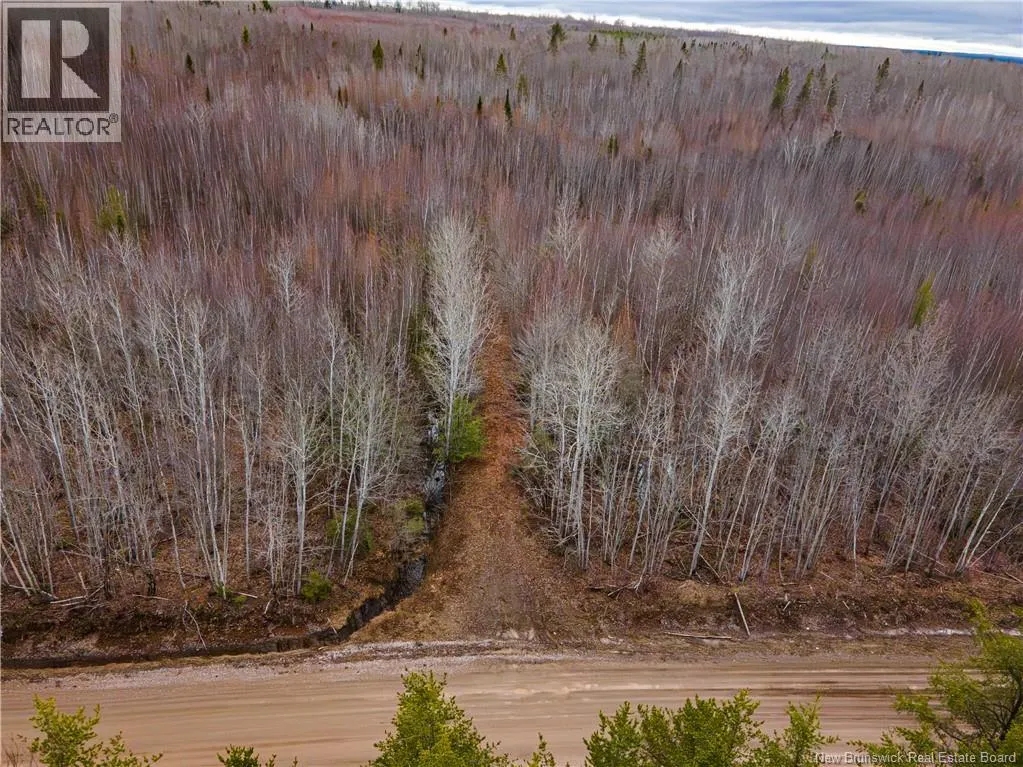Lot 1 South Canaan Road