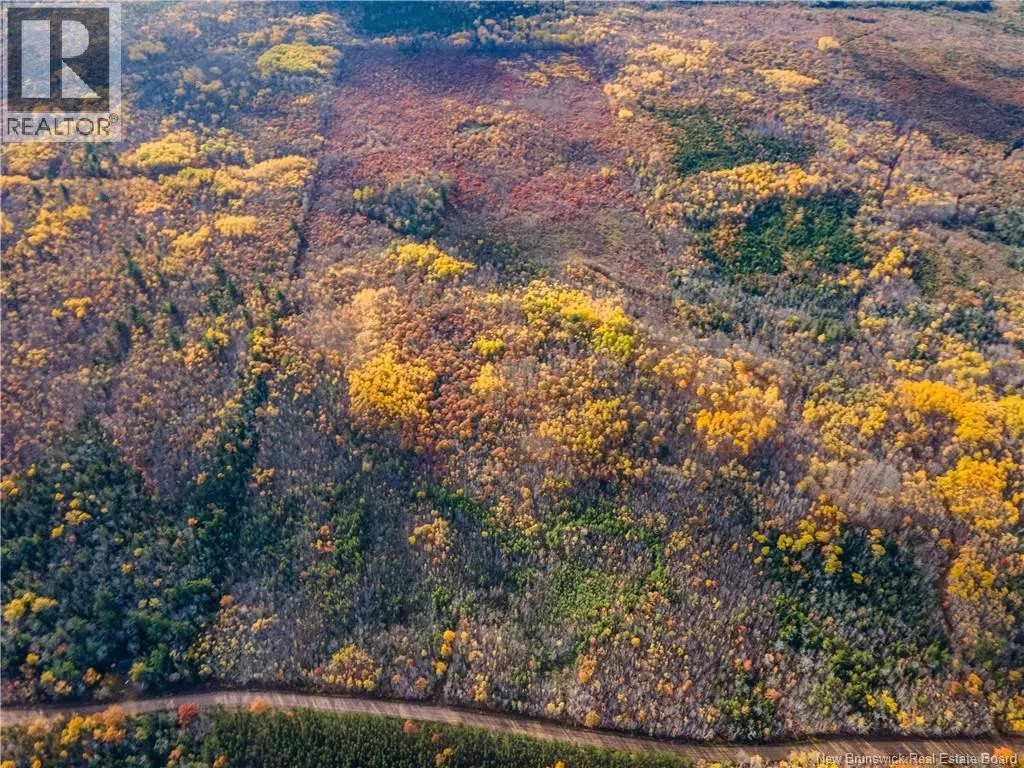 Lot 1 South Canaan Road