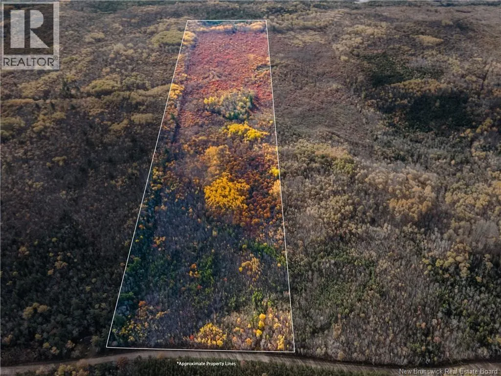 Lot 1 South Canaan Road