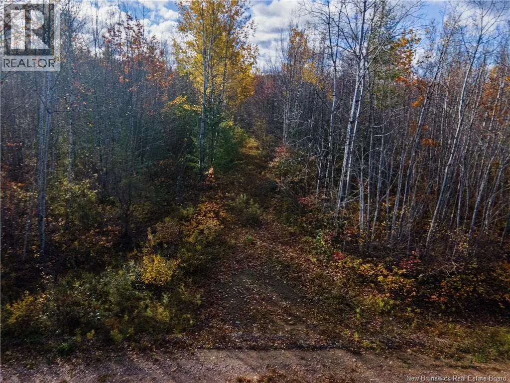 Lot 1 South Canaan Road
