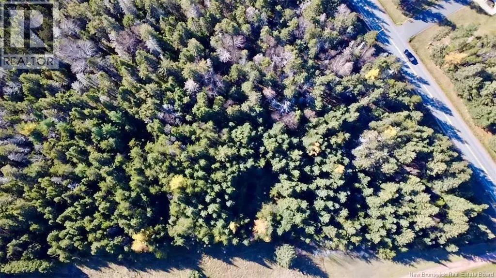 5.09 Acres Route 150