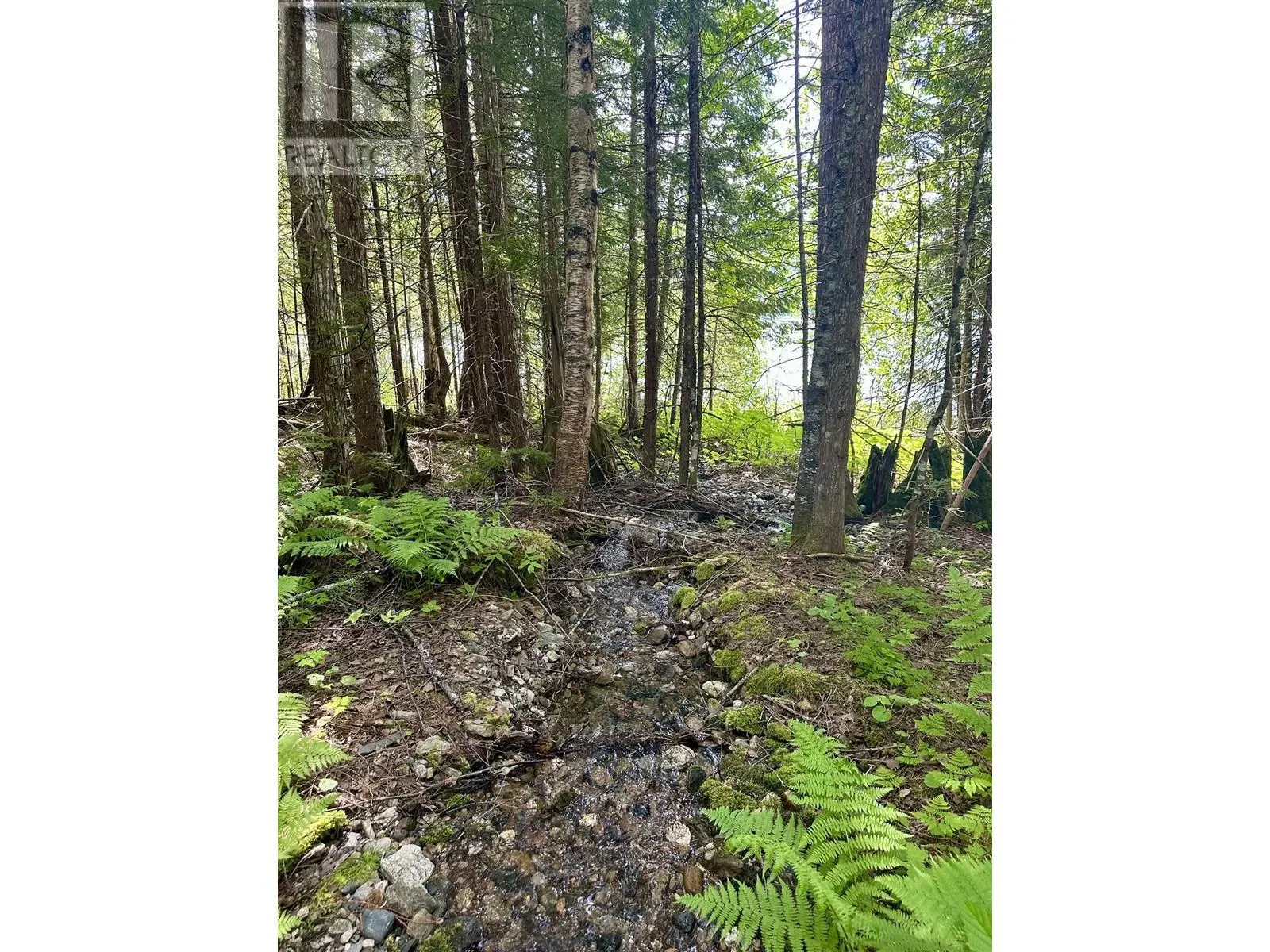 DL 5192 EAST ARM QUESNEL LAKE