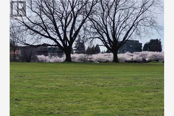 204 375 W 59TH AVENUE