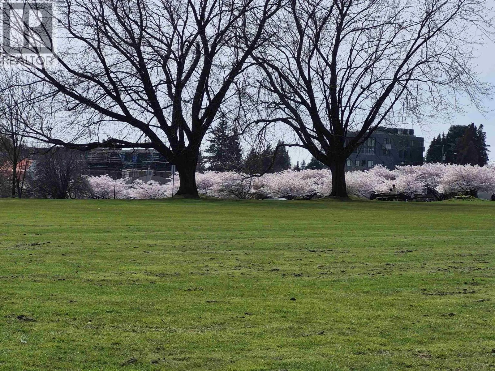 204 375 W 59TH AVENUE