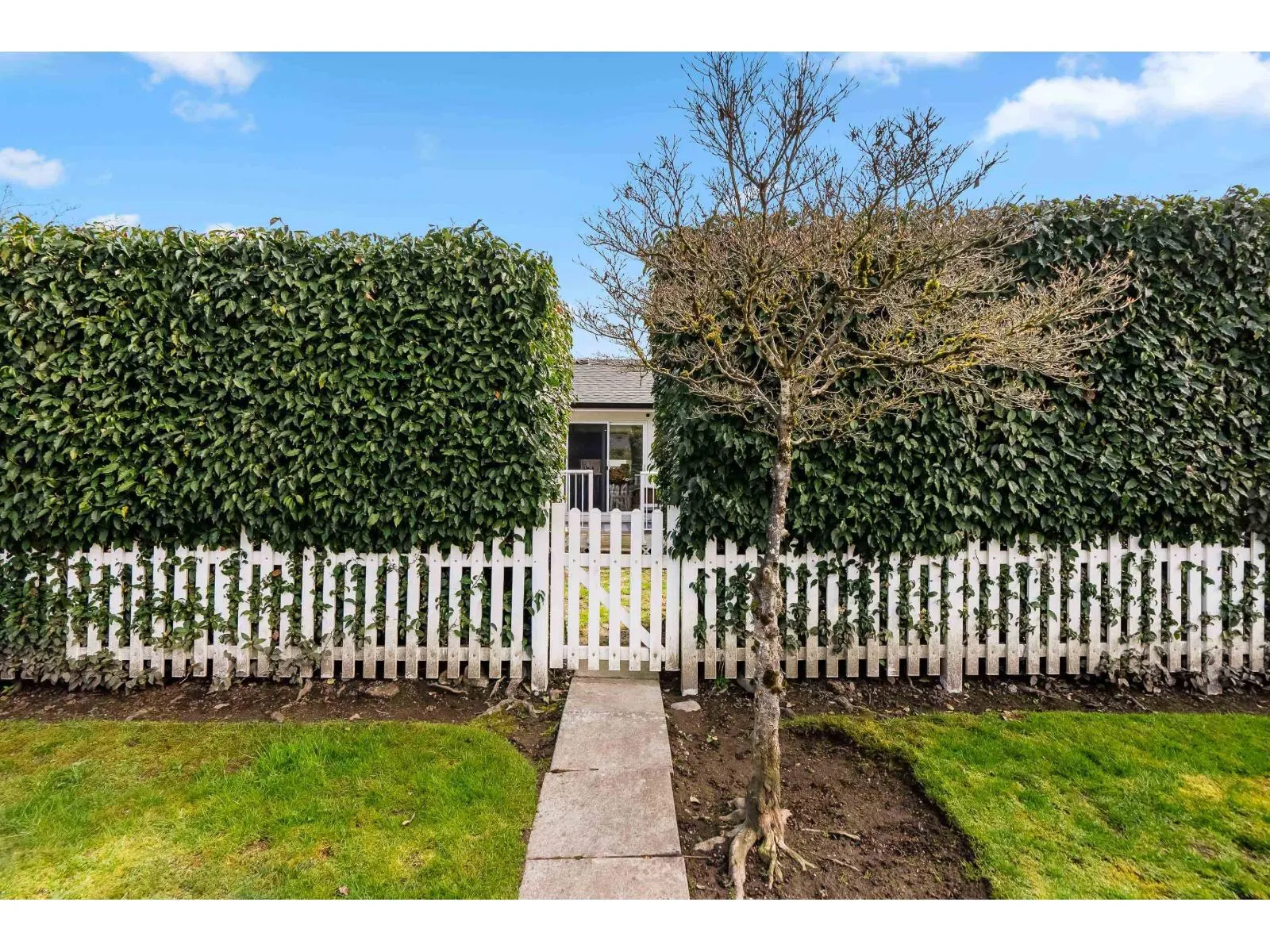 62 20761 TELEGRAPH TRAIL