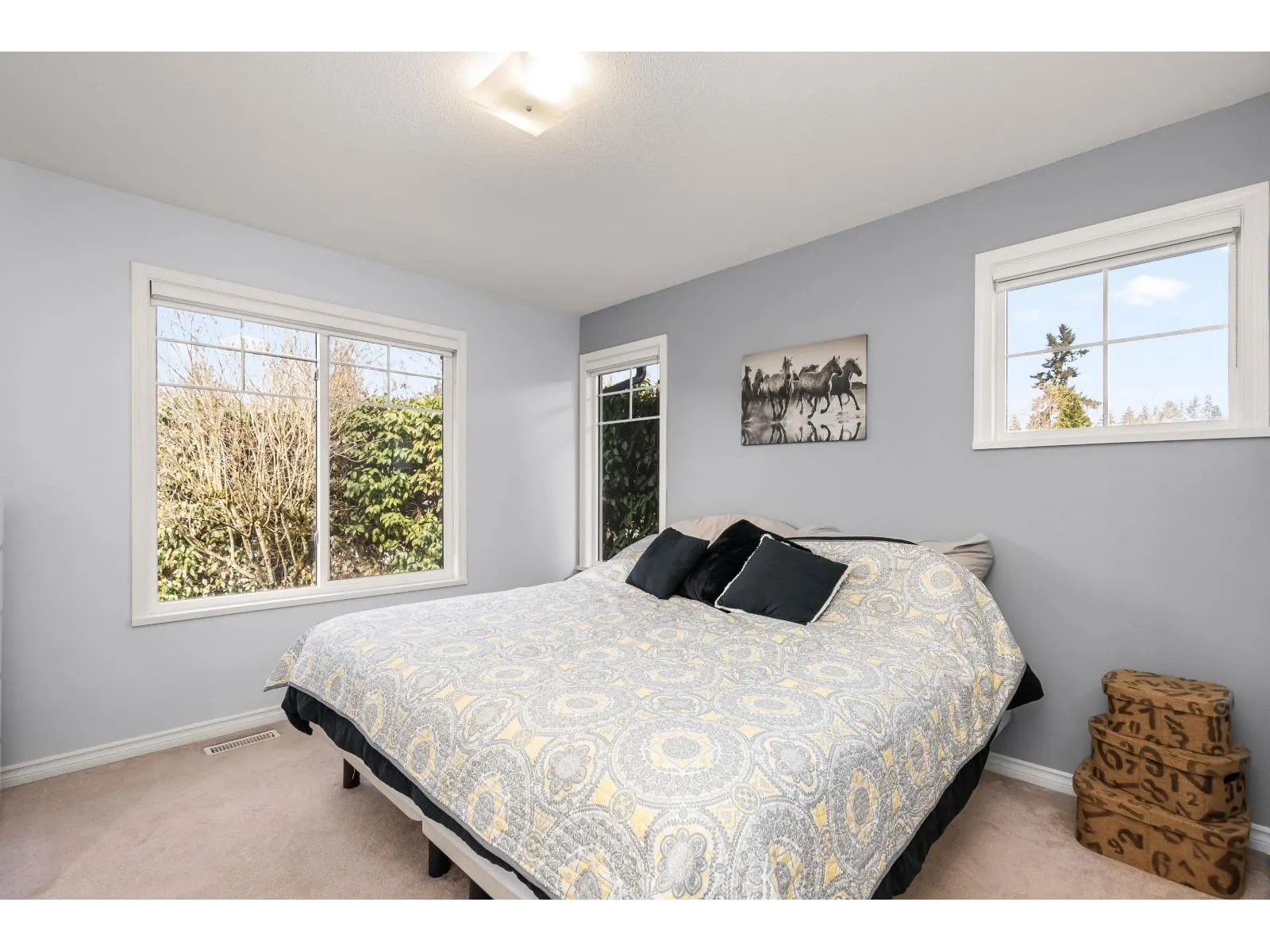 62 20761 TELEGRAPH TRAIL