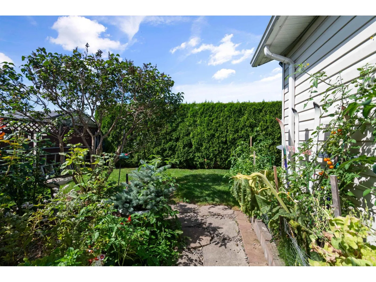 71 45918 KNIGHT ROAD|Sardis East Vedder