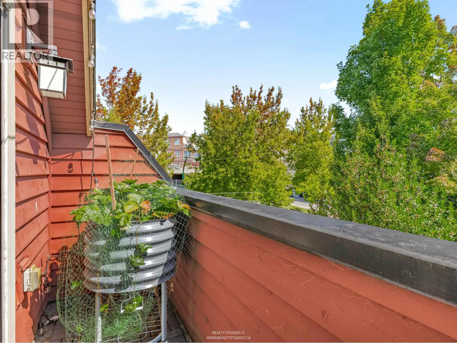 3103 ST. GEORGE STREET