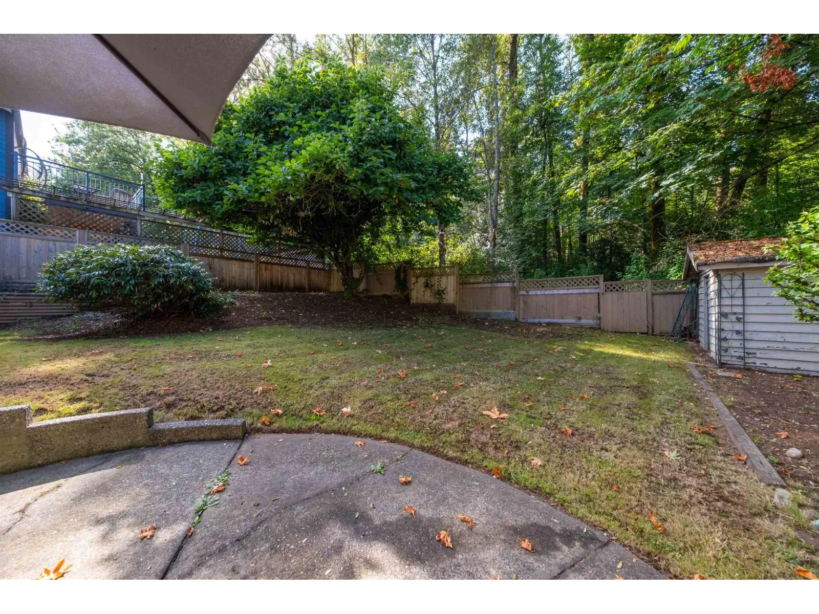 11436 ROYAL CRESCENT