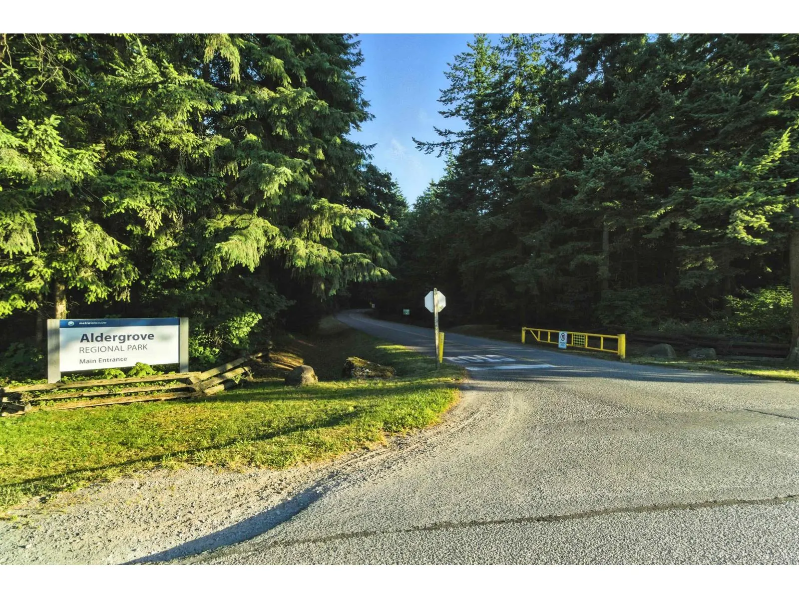128 SPRINGFIELD DRIVE