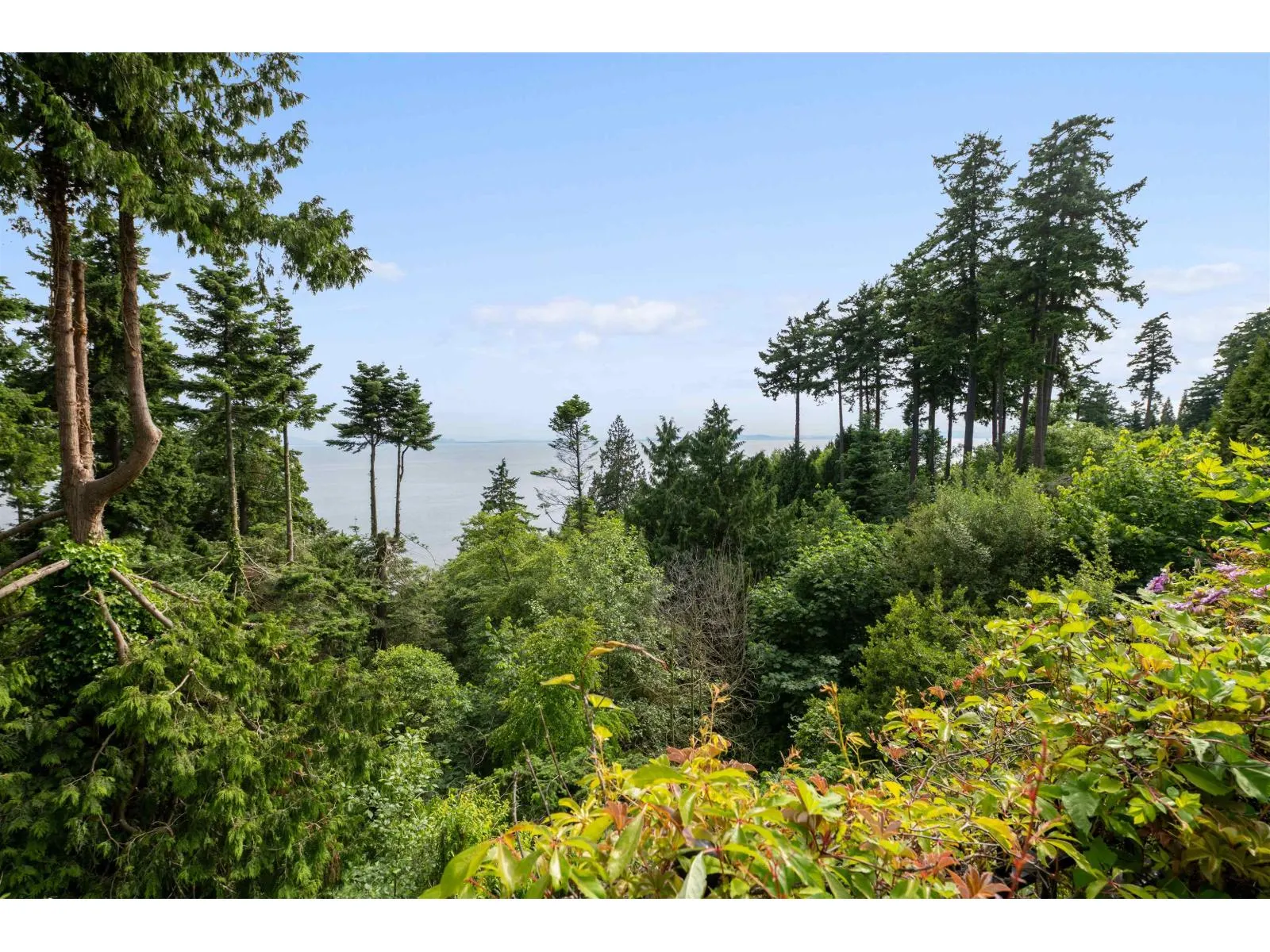 13922 TERRY ROAD