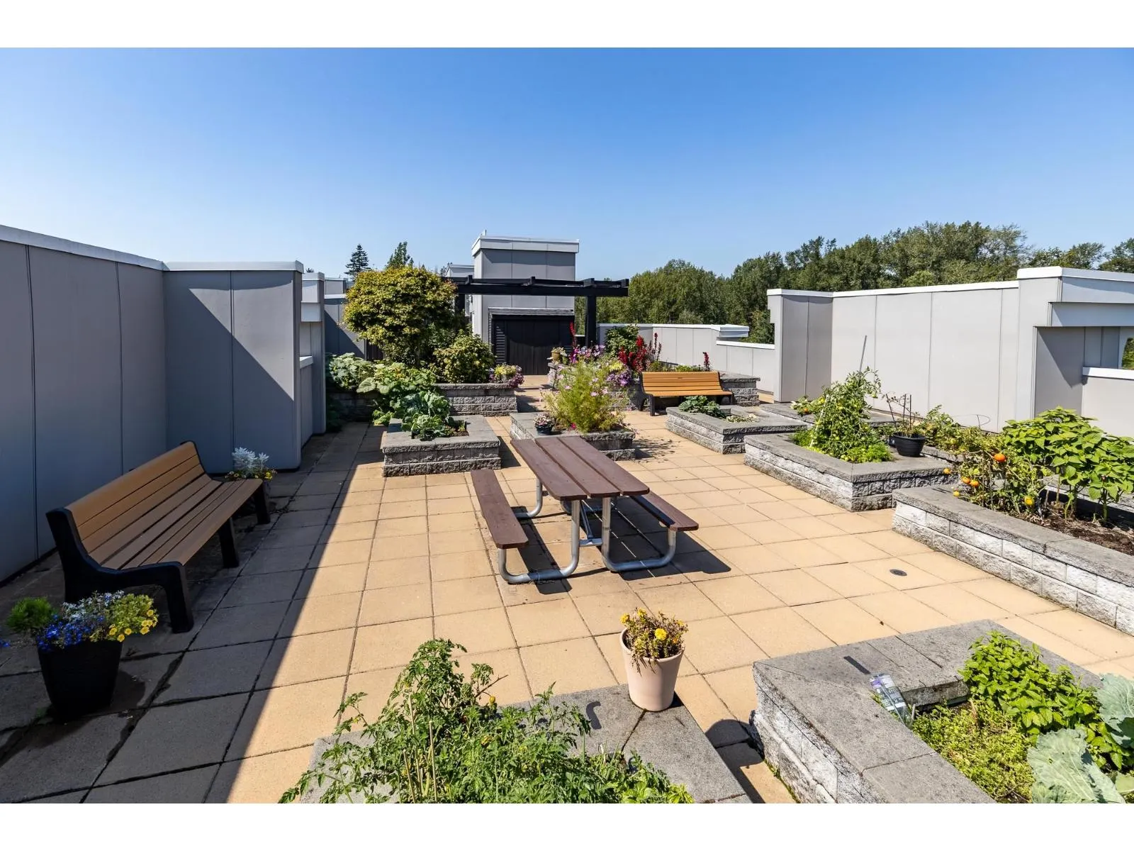 501 20826 72 AVENUE