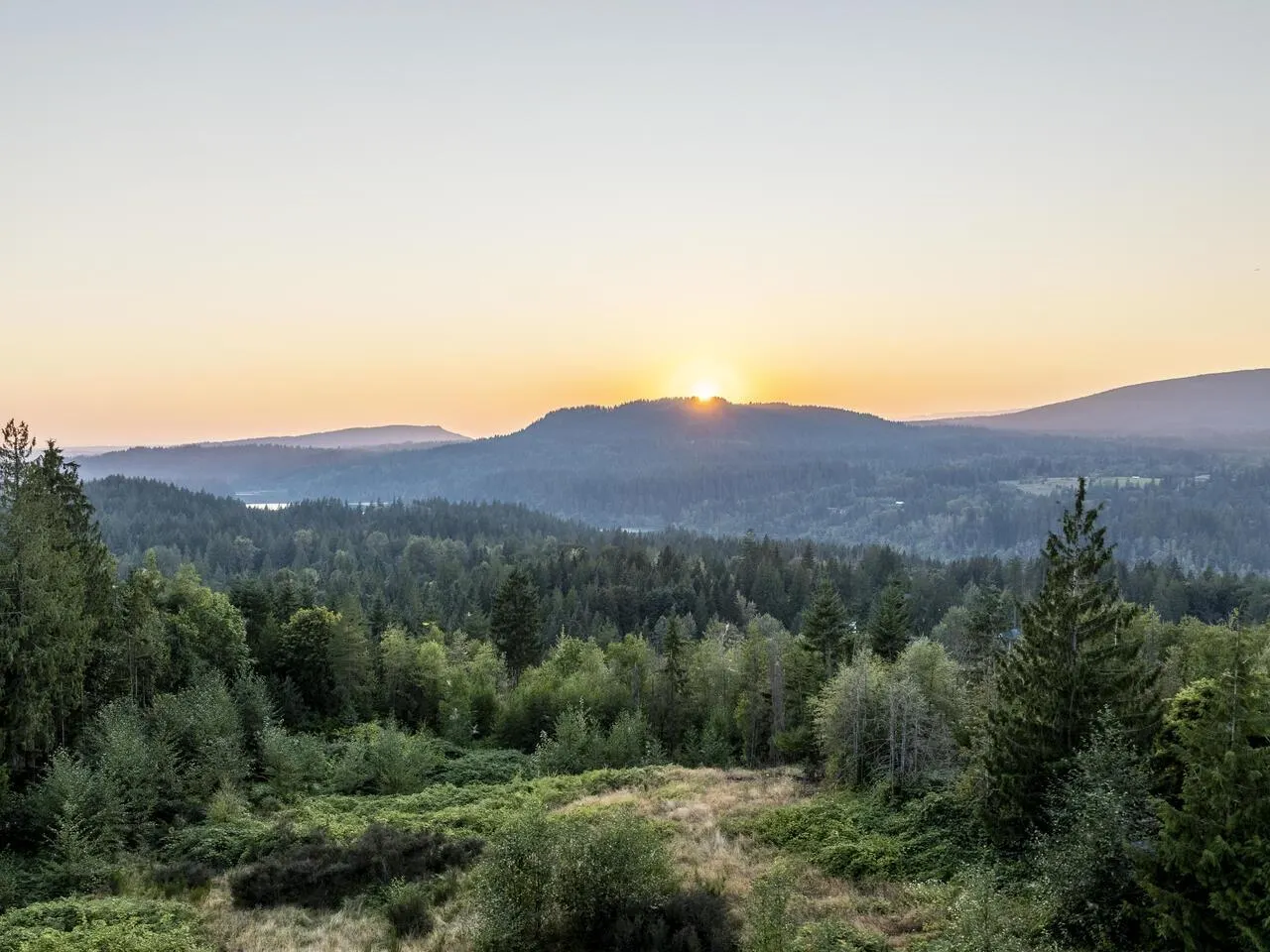 11038 GREENWOOD DRIVE