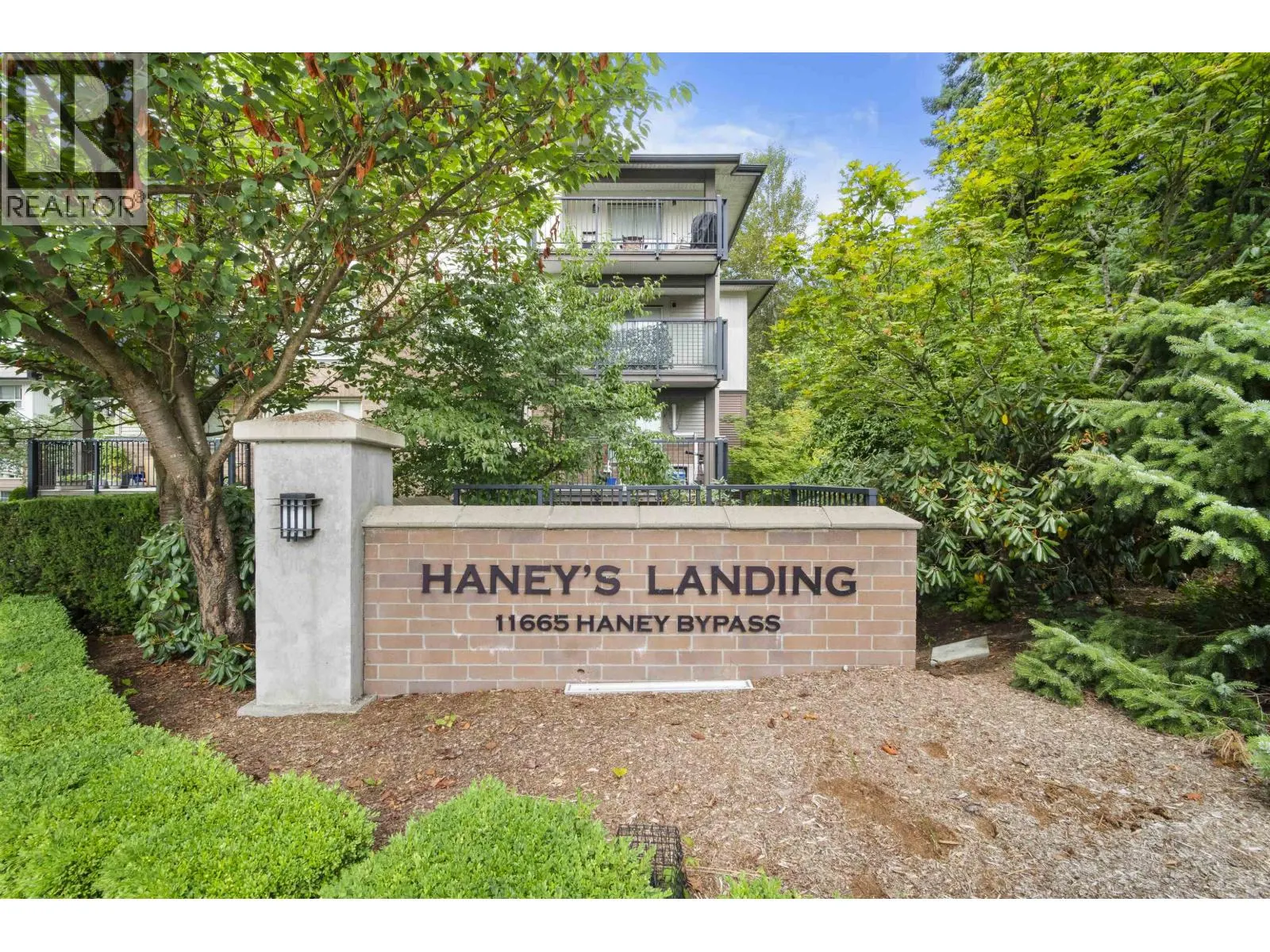 304 11665 HANEY BYPASS