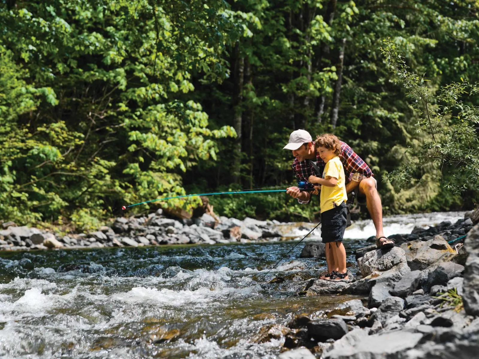 1767 TREE HOUSE TRAIL|Cultus Lake South