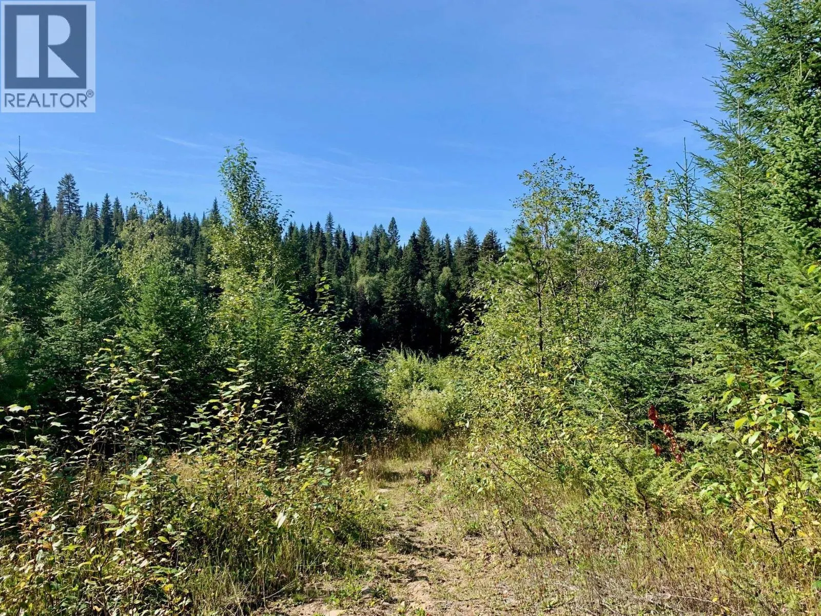 9325 NORTH NECHAKO ROAD