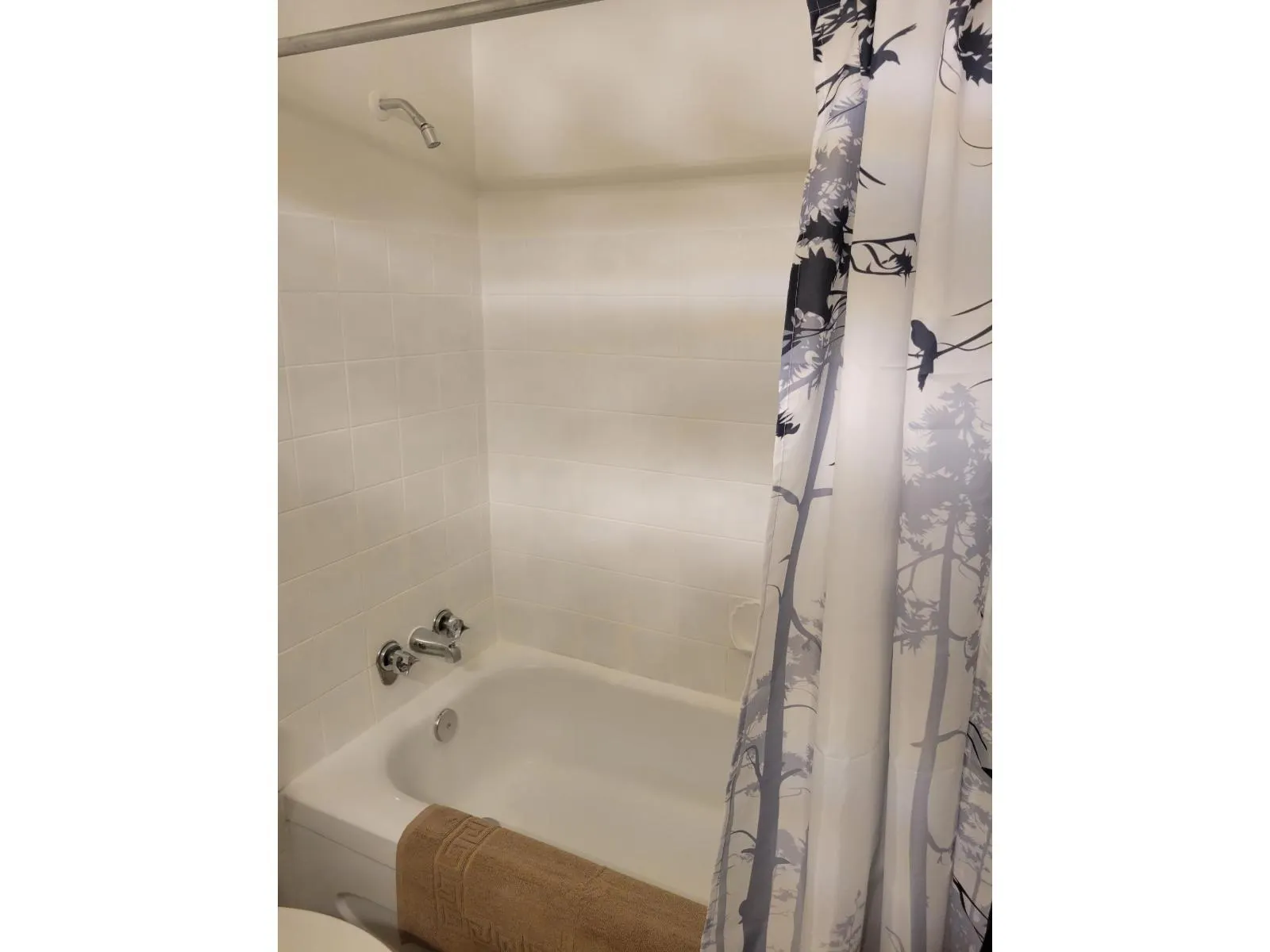 310 45749 SPADINA AVENUE|Chilliwack Downtown