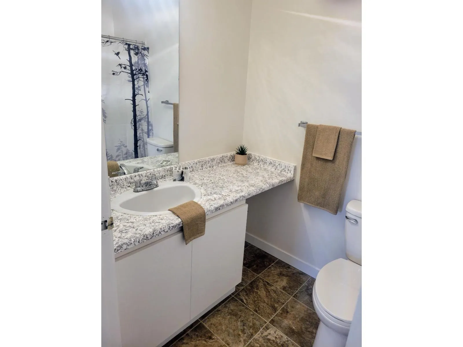 310 45749 SPADINA AVENUE|Chilliwack Downtown