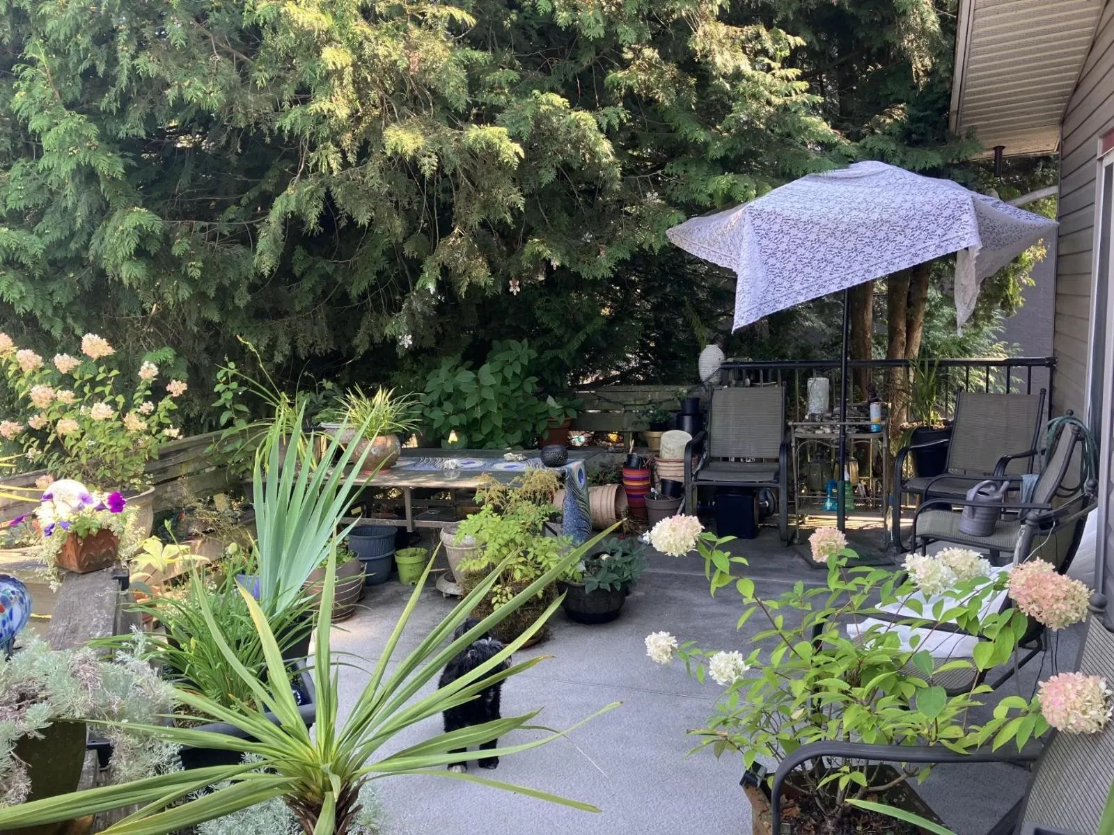 3470 JUNIPER CRESCENT