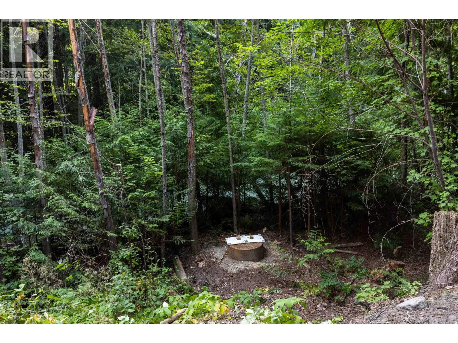 8896 PEMBERTON PORTAGE ROAD