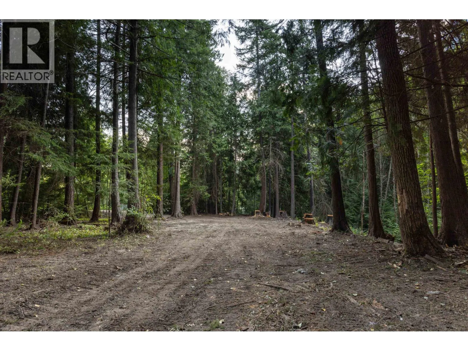 8896 PEMBERTON PORTAGE ROAD