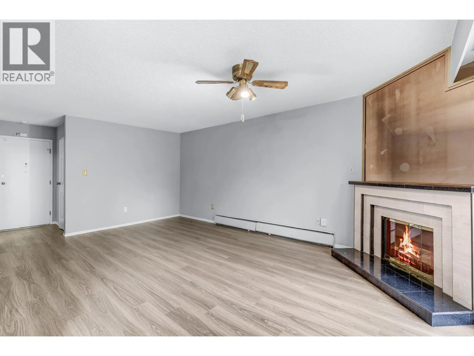 3901 CARRIGAN COURT
