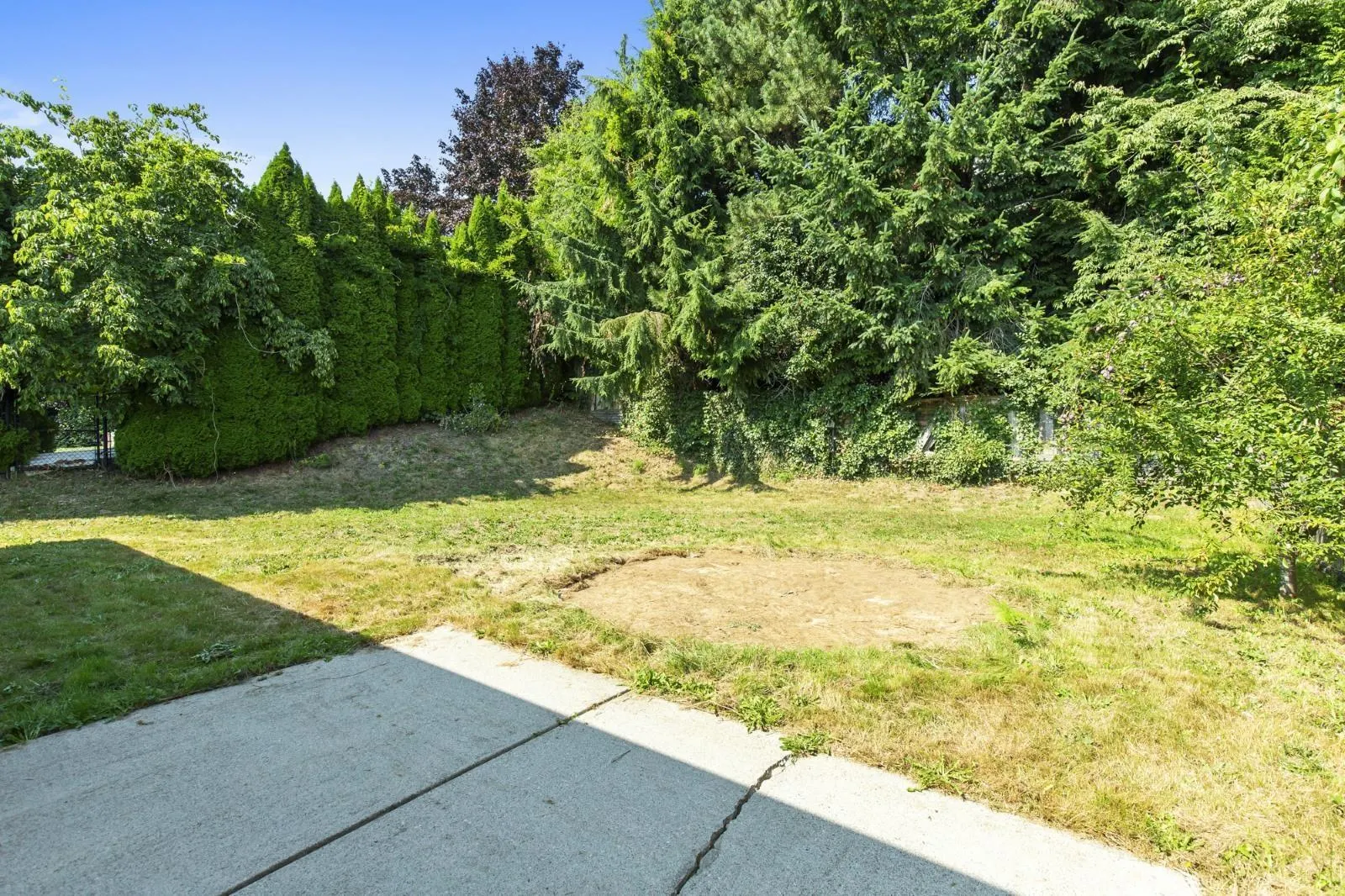 33605 BLUEBERRY DRIVE