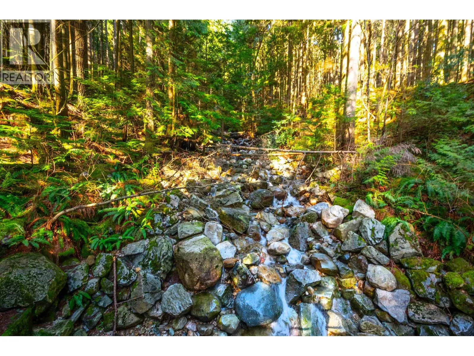 6 1015 LYNN VALLEY ROAD
