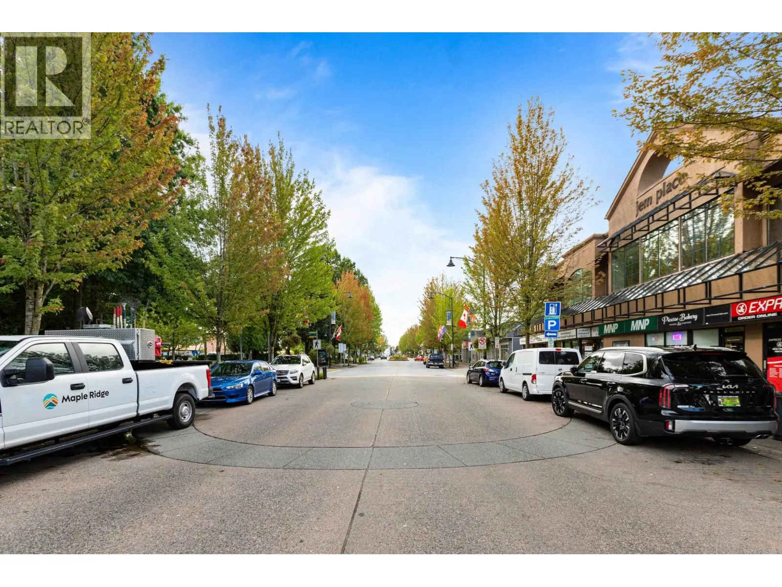 201 11724 225 STREET