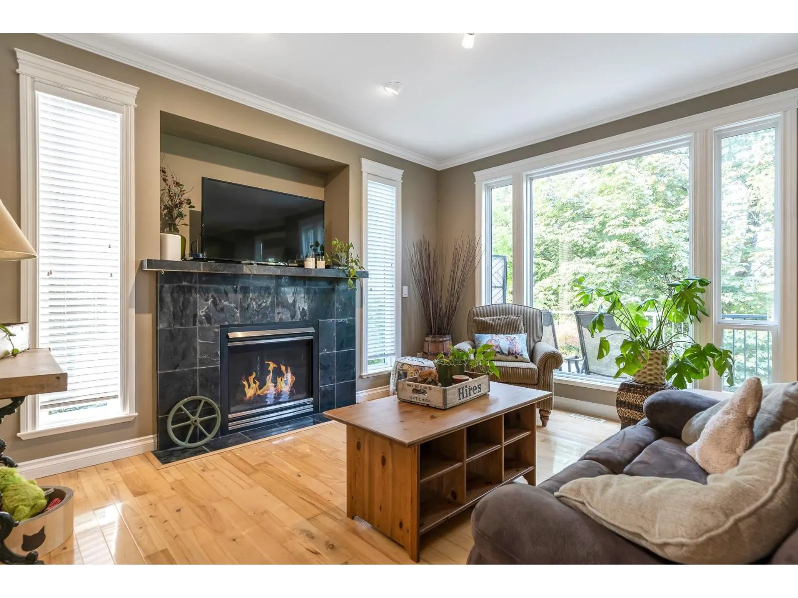 17 33925 ARAKI COURT