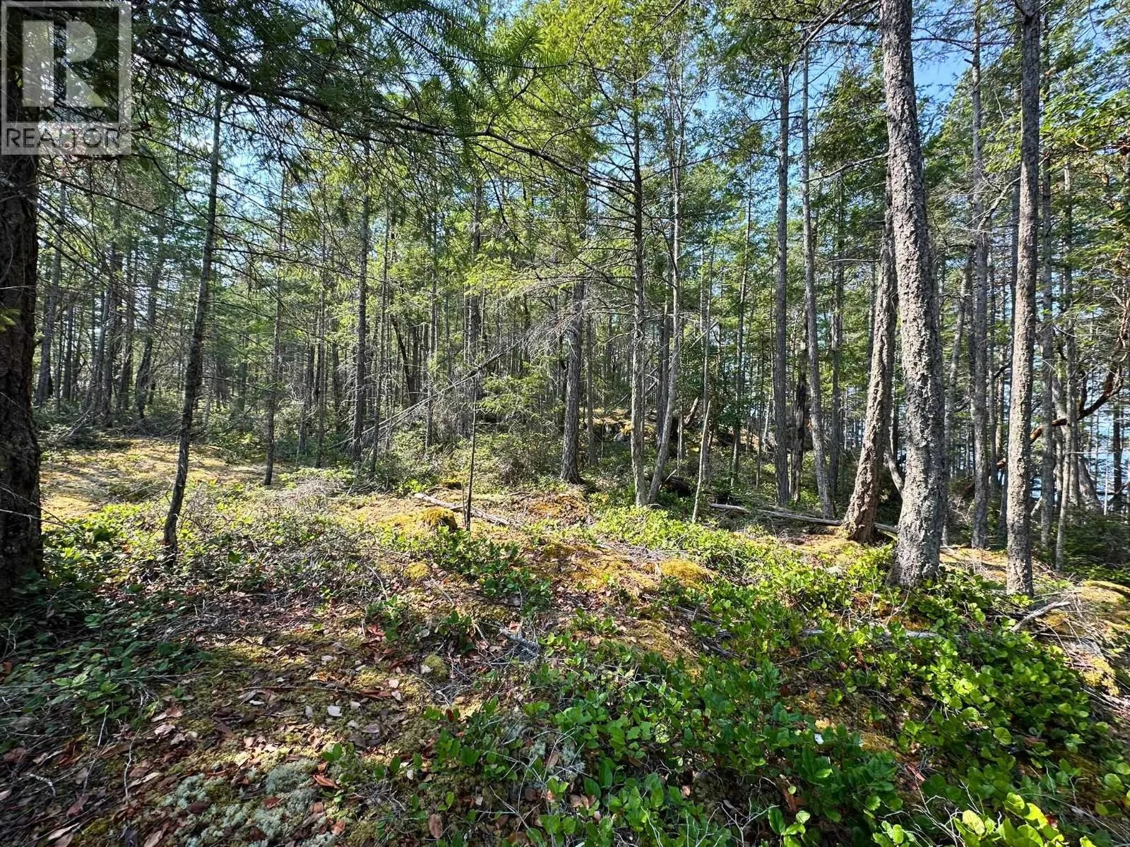 Lot A KELLY ISLAND