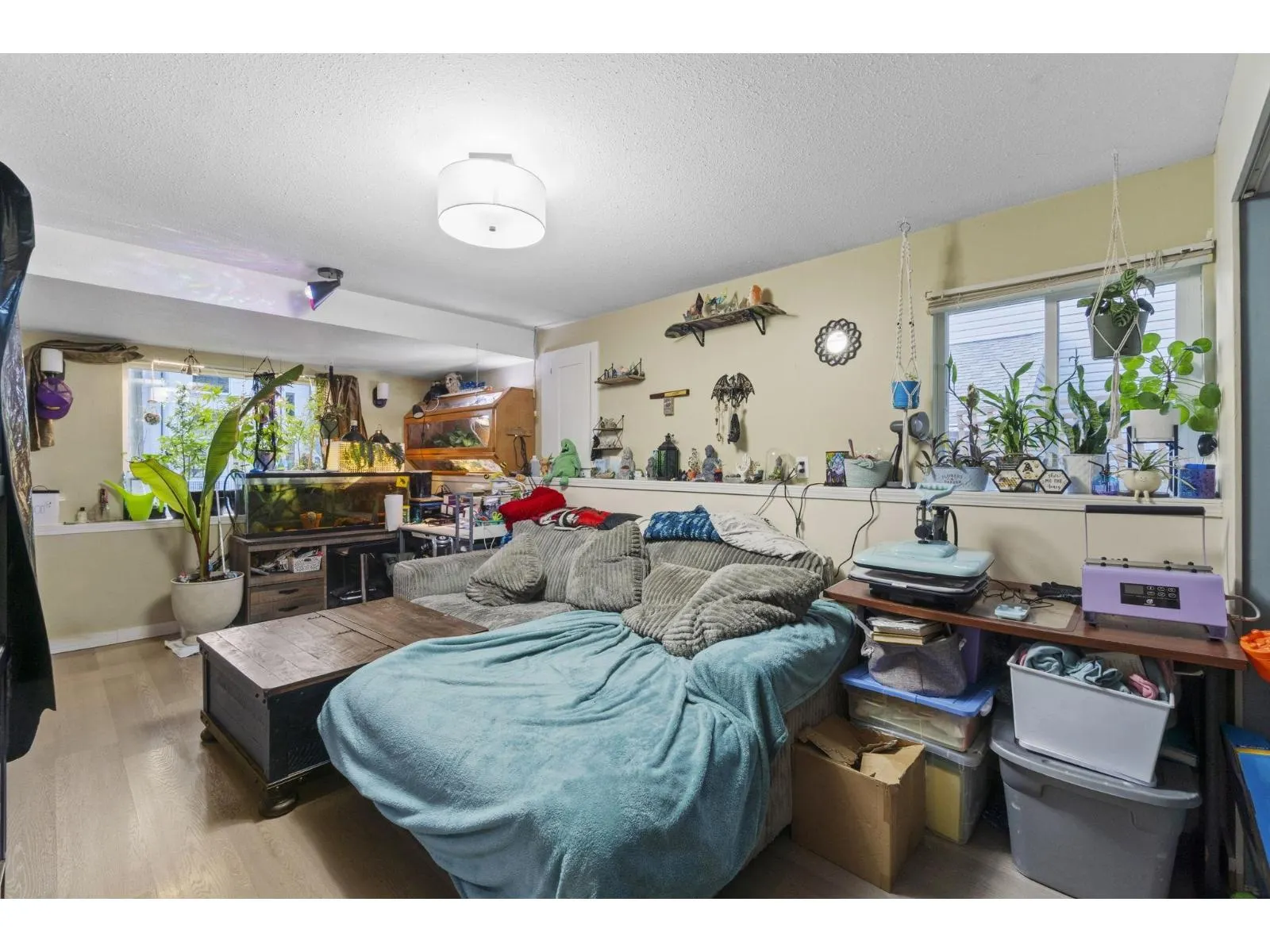 3038 MCMILLAN ROAD