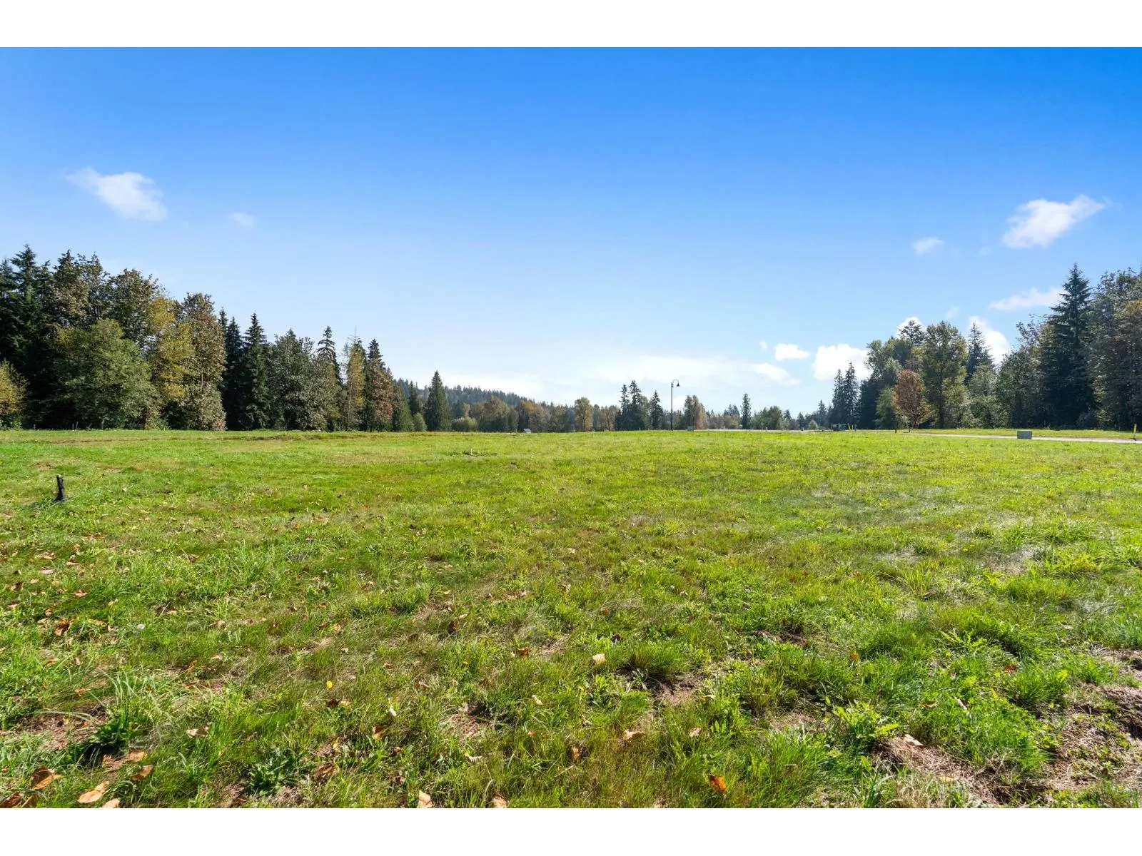 32295 SILVER CREEK DRIVE