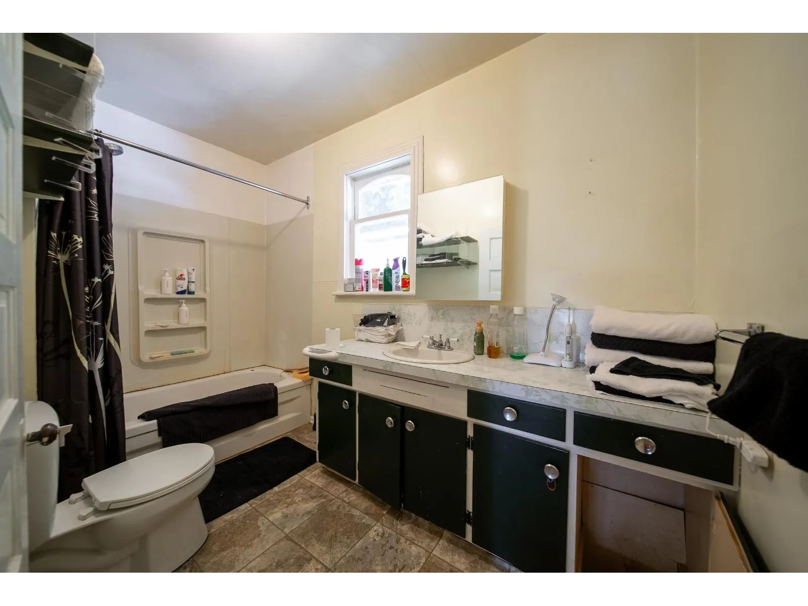 1093 MCKENZIE ROAD