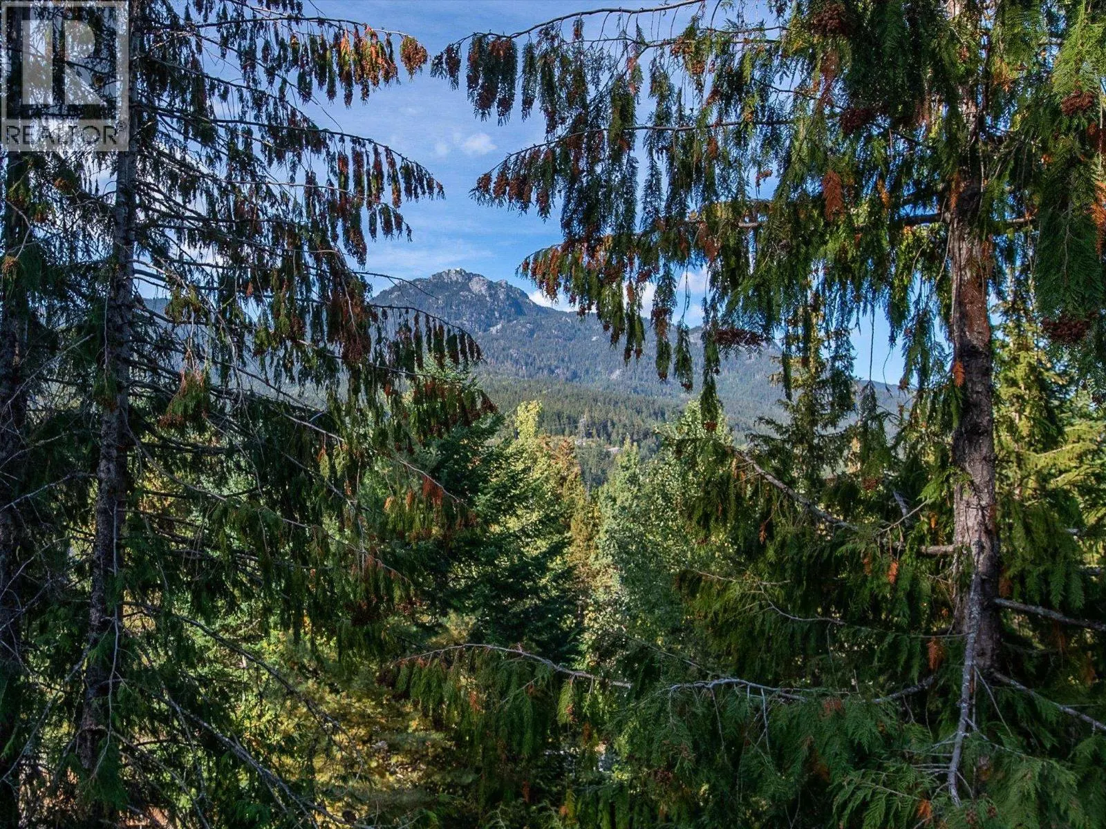 2317 CHEAKAMUS WAY