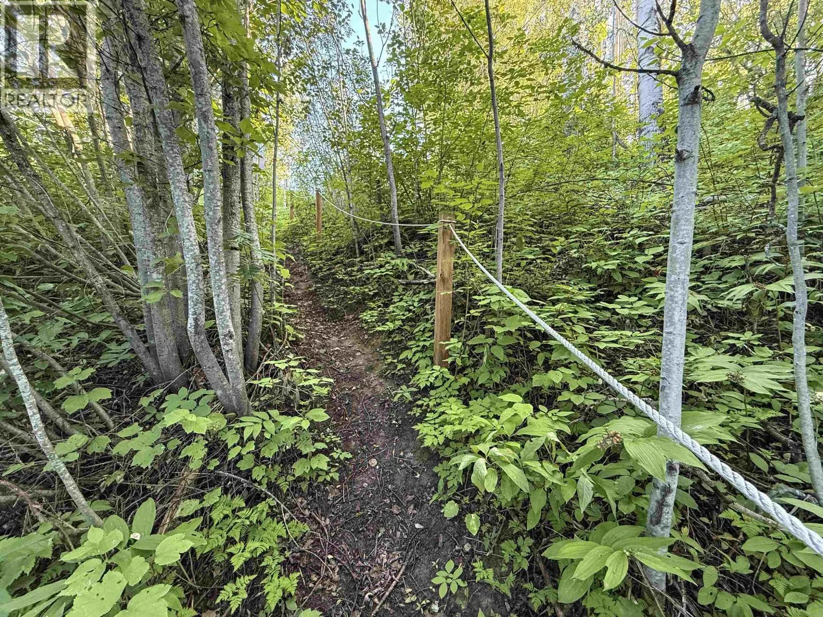 LOT 21 NESS LAKE ROAD