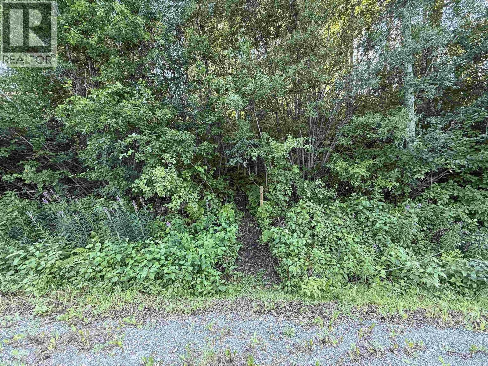 LOT 21 NESS LAKE ROAD