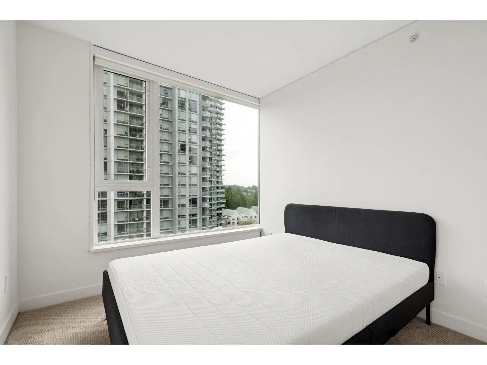 1512 13696 100 AVENUE